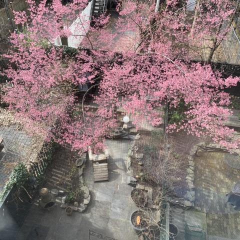 brownstone, traditional, bathroom, 