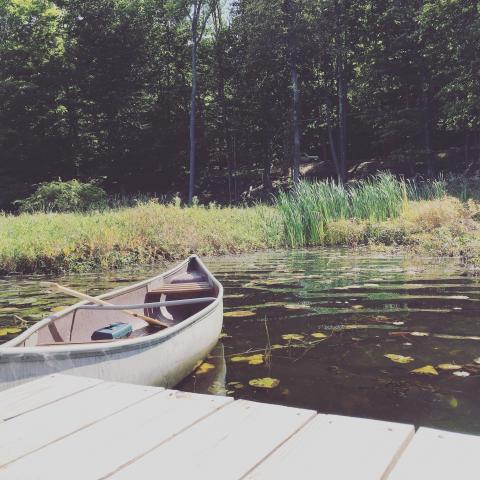 cabin, wooded, lake, water, rural, country, 