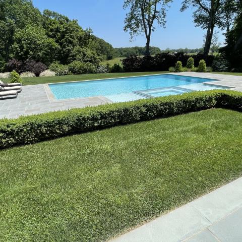 suburban, pool, patio, garden, 