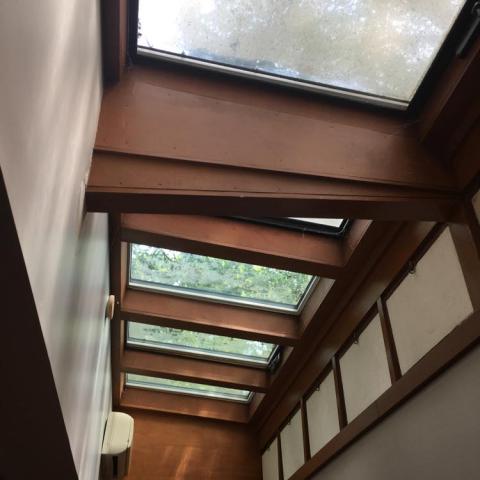 modern, stone, contemporary, wood, patio, glass, garden, 