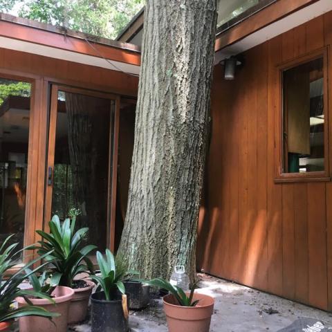 modern, stone, contemporary, wood, patio, glass, garden, 