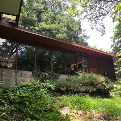 modern, stone, contemporary, wood, patio, glass, garden, 