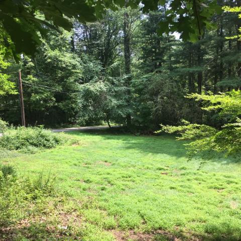 modern, stone, contemporary, wood, patio, glass, garden, 