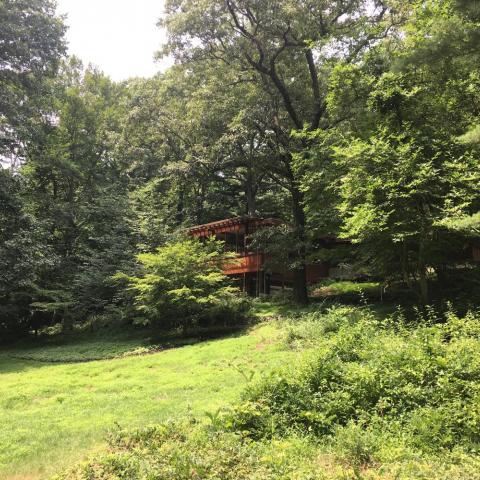 modern, stone, contemporary, wood, patio, glass, garden, 