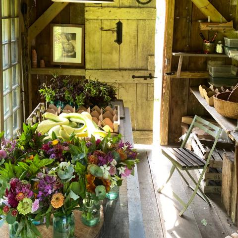 farm, greenhouse, field, rural, country, kitchen, 