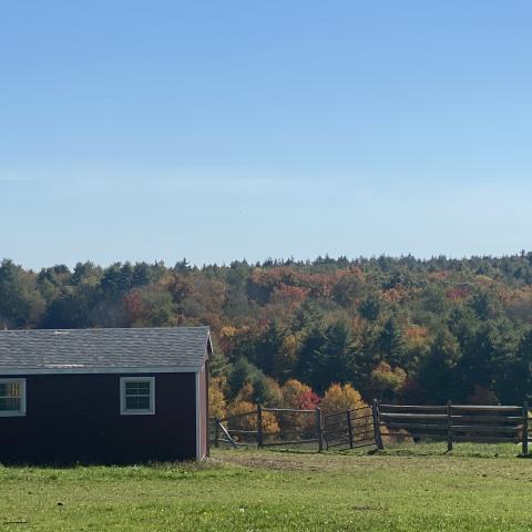 horse, farm, barn, stable, rural, field, lake, 