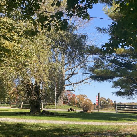 horse, farm, barn, stable, rural, field, lake, 