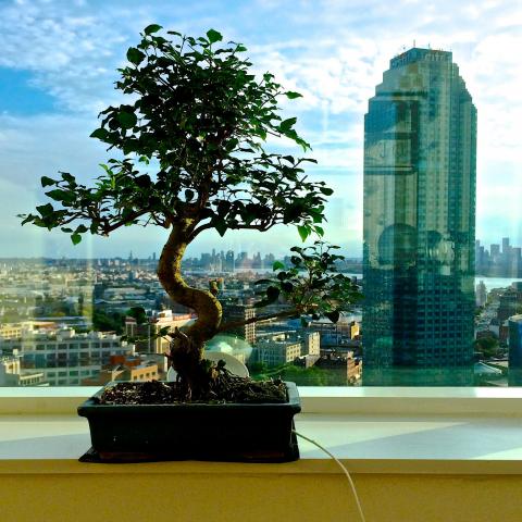 modern, contemporary, light, apartment, 