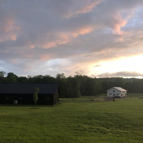 rural, contemporary, modern, light, airy, kitchen, bathroom, barn, 