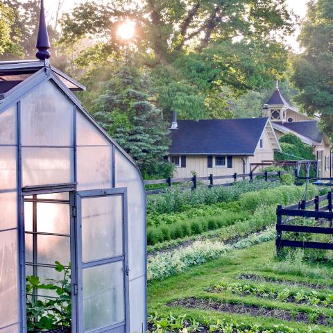 farm, greenhouse, field, rural, country, kitchen, 