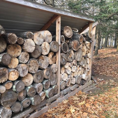 cabin, wooded, lake, water, rural, country, 