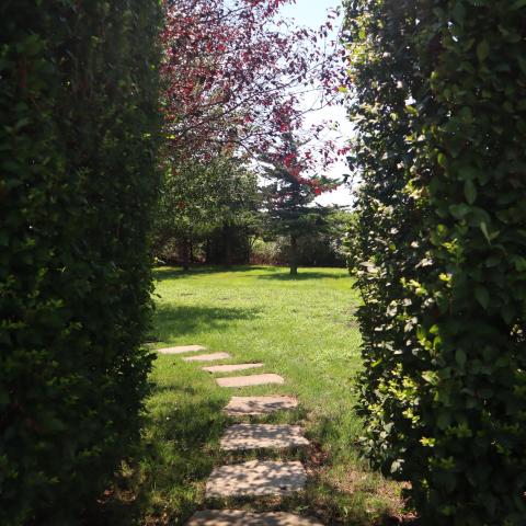 contemporary, suburban, kitchen, garden, 