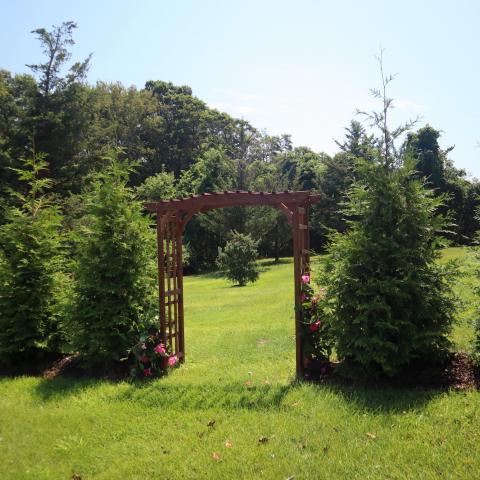 contemporary, suburban, kitchen, garden, 