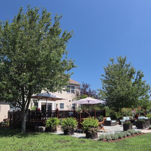 contemporary, suburban, kitchen, garden, 