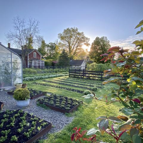 farm, greenhouse, field, rural, country, 