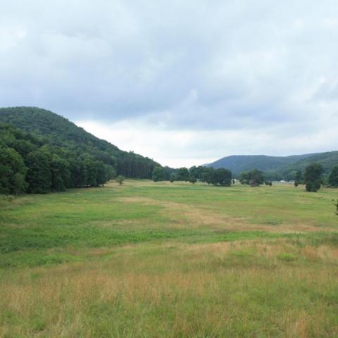 country, farm, horse, rustic, field, barn, 