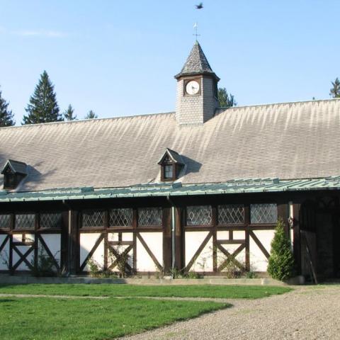 country, farm, horse, rustic, field, barn, 