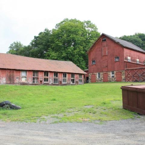 country, farm, horse, rustic, field, barn, 