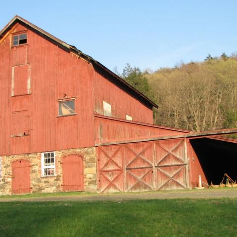 country, farm, horse, rustic, field, barn, 