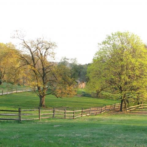 country, farm, horse, rustic, field, barn, 