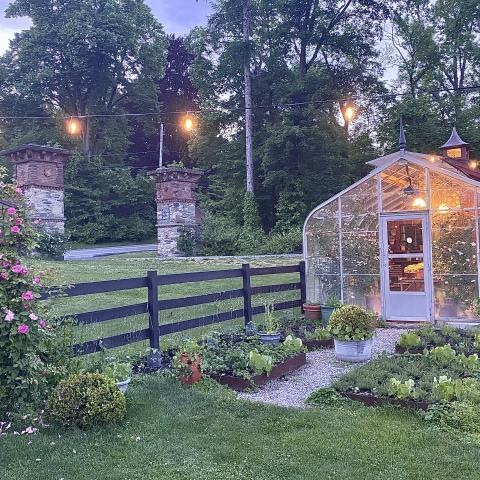 farm, greenhouse, field, rural, country, kitchen, 