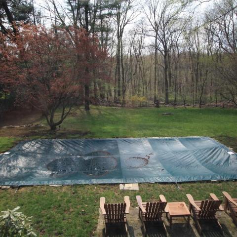 contemporary, pool, deck, patio, 