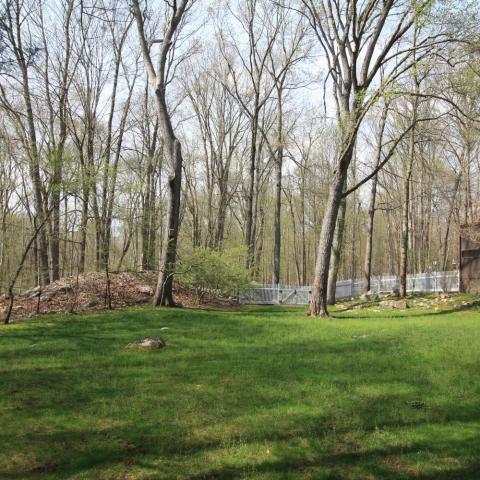 contemporary, pool, deck, patio, 