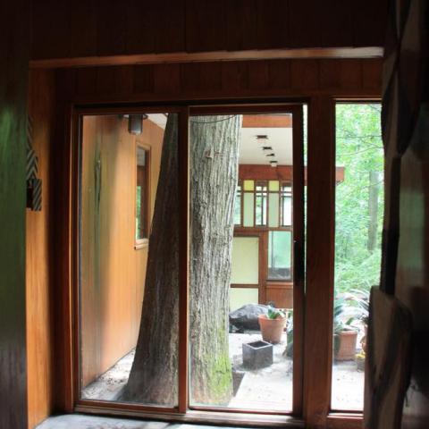 modern, stone, contemporary, wood, patio, glass, garden, 