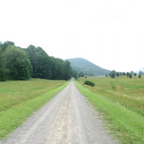 country, farm, horse, rustic, field, barn, 