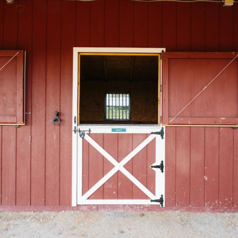 horse, farm, barn, stable, rural, field, lake, 