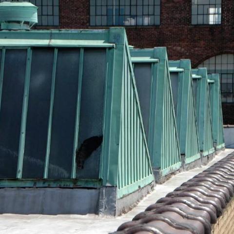 industrial, studio, light, textures, textured walls, glass, rooftop, 