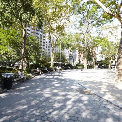 park, 