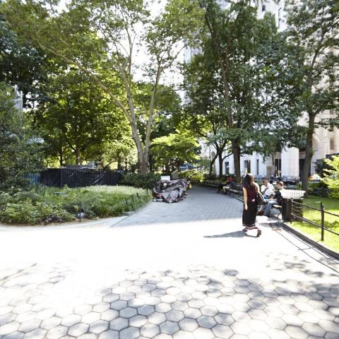 park, 