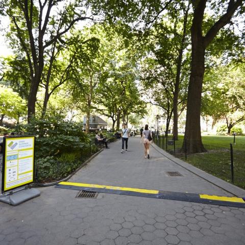 park, 