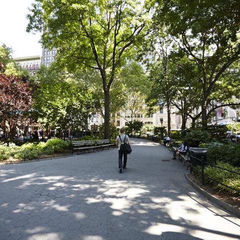 park, 