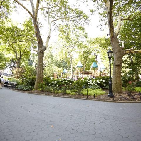 park, 