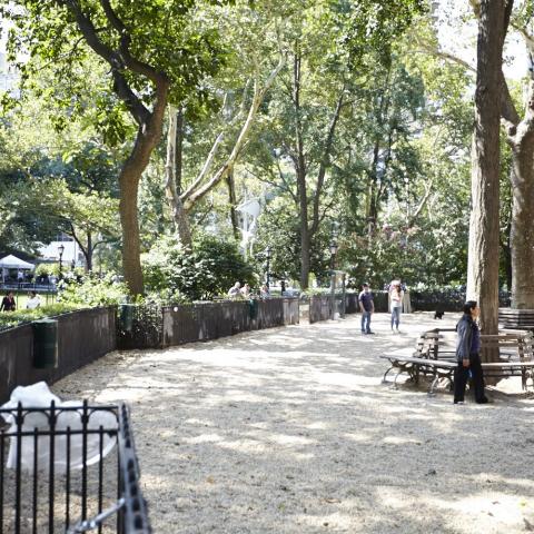park, 