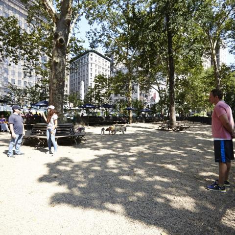 park, 