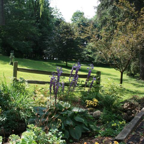 suburban, pool, garden, 