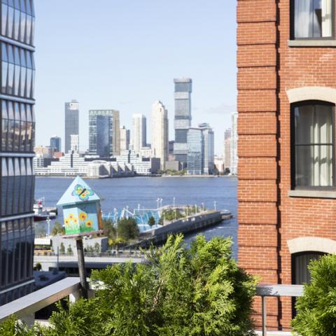 loft, apartment, kitchen, bathroom, rooftop, light, skyline, city view, 