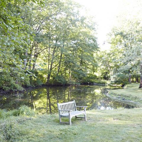 garden, pond, traditional, contemporary, 