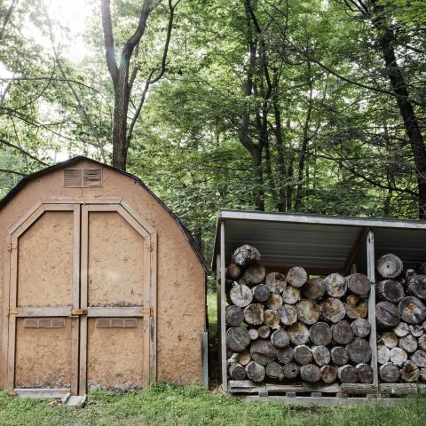 cabin, wooded, lake, water, rural, country, 