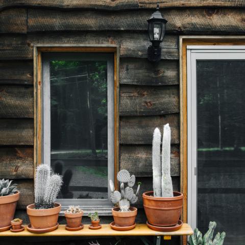 cabin, wooded, lake, water, rural, country, 