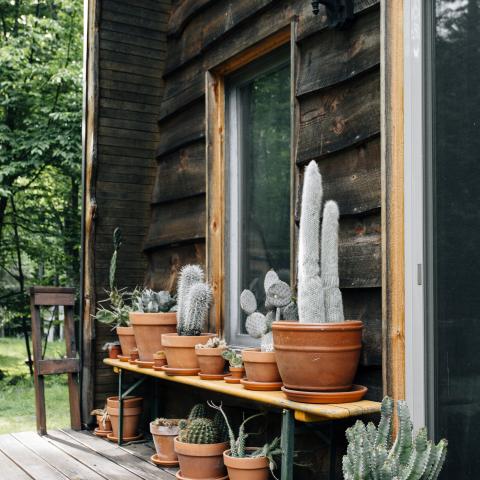 cabin, wooded, lake, water, rural, country, 