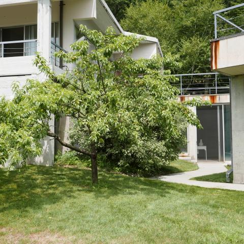 contemporary, modern, view, pool, minimal, glass, deck, kitchen, fireplace, bathroom, 
