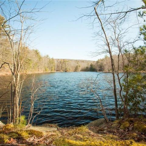 cabin, lake, rural, country, 