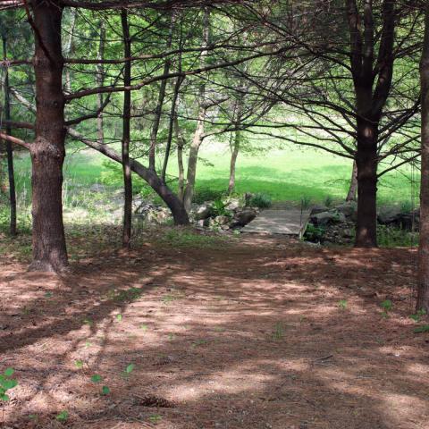 suburban, pool, garden, 