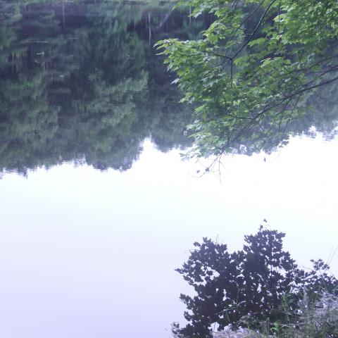 cabin, lake, rural, country, 