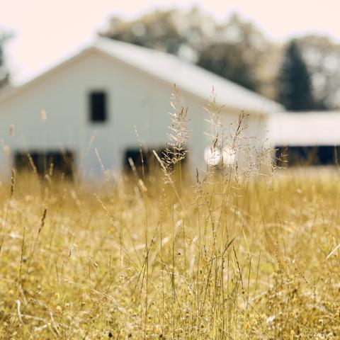 rural, contemporary, modern, light, airy, kitchen, bathroom, barn, 