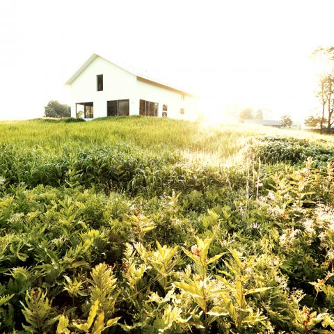 rural, contemporary, modern, light, airy, kitchen, bathroom, barn, 